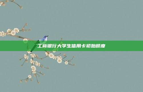 工商银行大学生信用卡初始额度