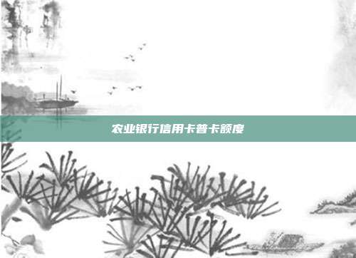 农业银行信用卡普卡额度