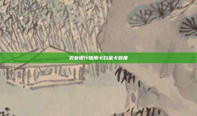 农业银行信用卡白金卡额度