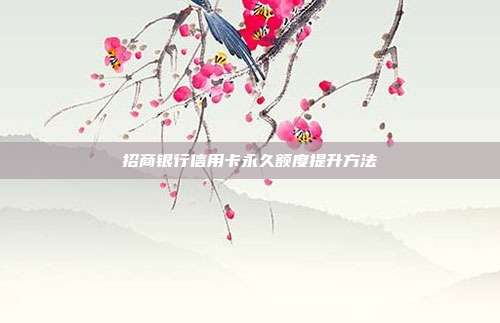 招商银行信用卡永久额度提升方法