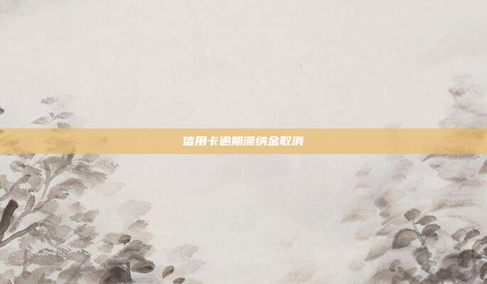 信用卡逾期滞纳金取消