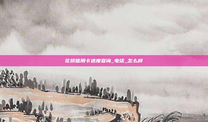 花旗信用卡进度查询_电话_怎么样