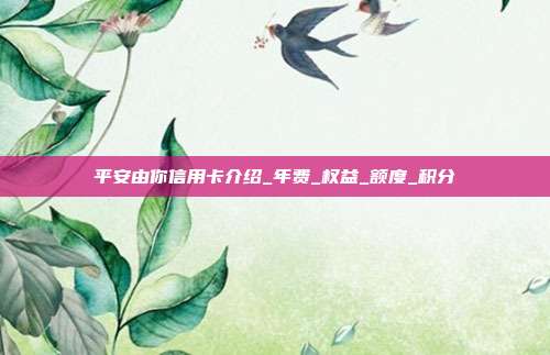 平安由你信用卡介绍_年费_权益_额度_积分