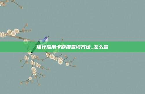 建行信用卡额度查询方法_怎么查