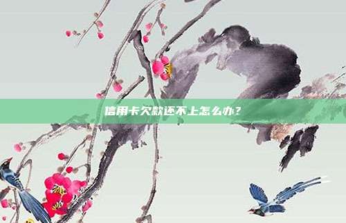 信用卡欠款还不上怎么办？