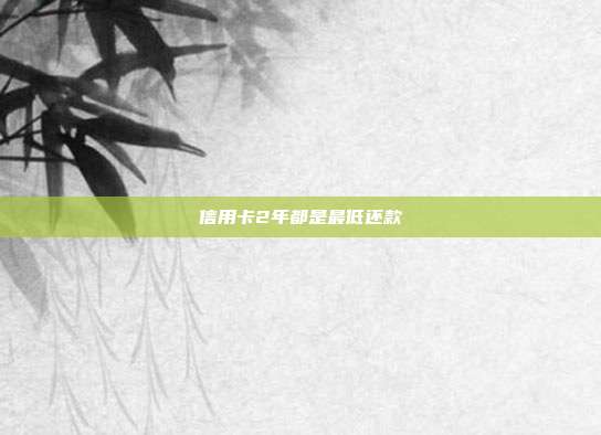 信用卡2年都是最低还款