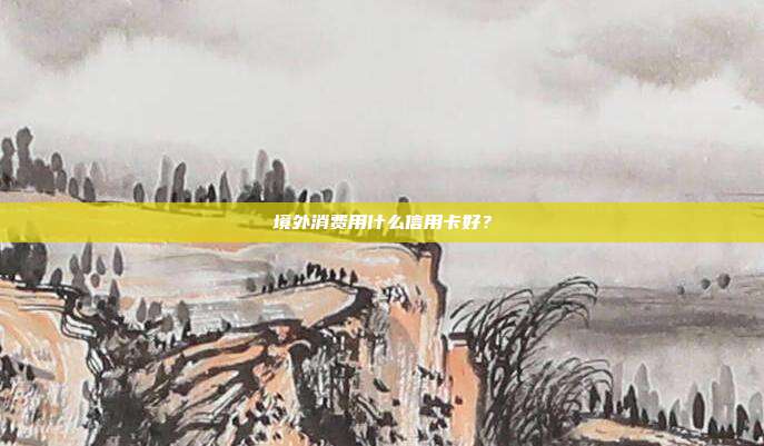 境外消费用什么信用卡好？