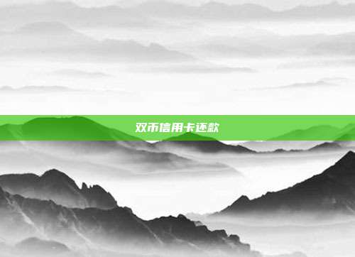 双币信用卡还款