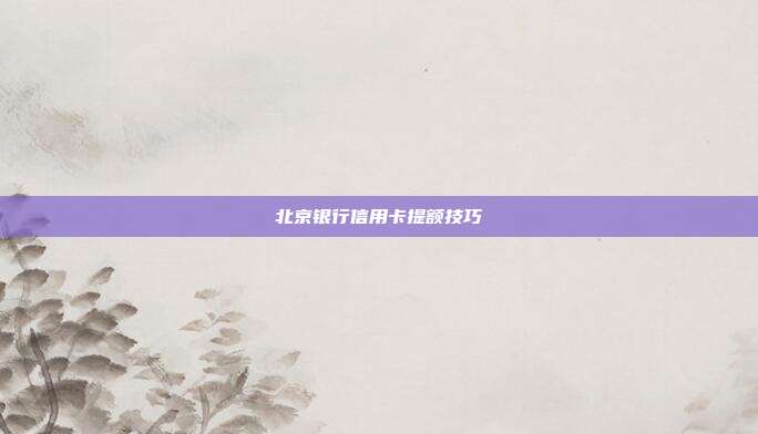 北京银行信用卡提额技巧