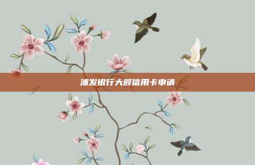浦发银行大额信用卡申请