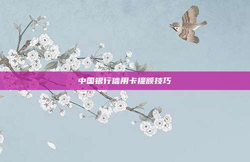 中国银行信用卡提额技巧
