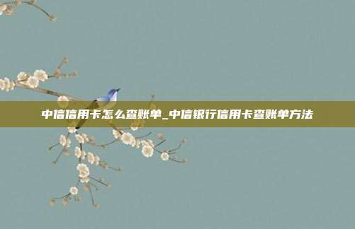 中信信用卡怎么查账单_中信银行信用卡查账单方法
