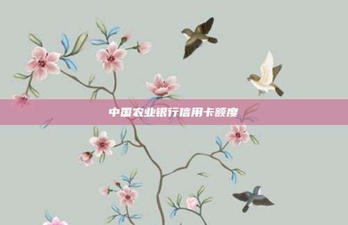 中国农业银行信用卡额度