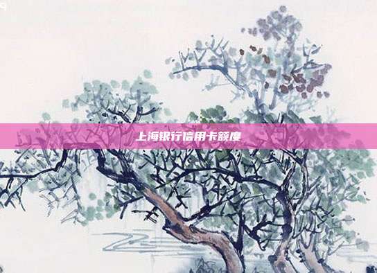 上海银行信用卡额度