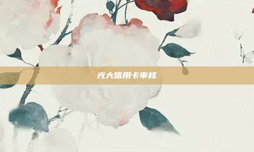 光大信用卡审核