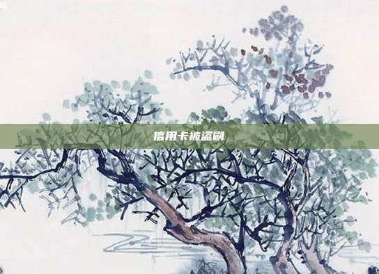 信用卡被盗刷