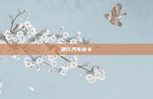 建行汽车龙卡