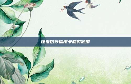 建设银行信用卡临时额度