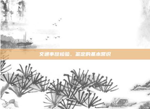 交通事故检验、鉴定的基本常识