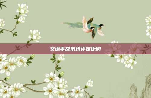 交通事故伤残评定原则