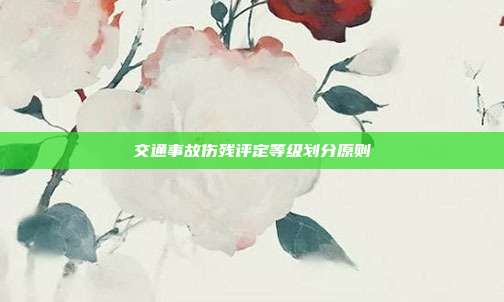 交通事故伤残评定等级划分原则