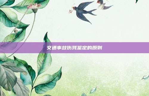 交通事故伤残鉴定的原则