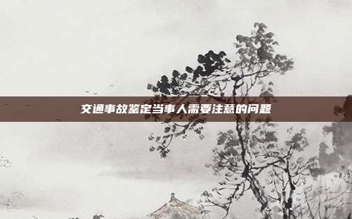 交通事故鉴定当事人需要注意的问题