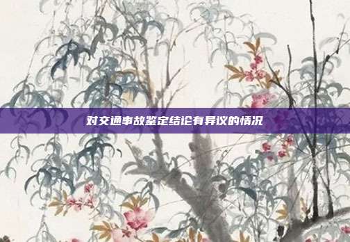 对交通事故鉴定结论有异议的情况
