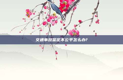 交通事故鉴定不公平怎么办?