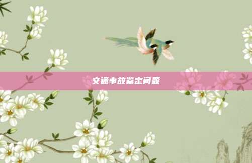 交通事故鉴定问题