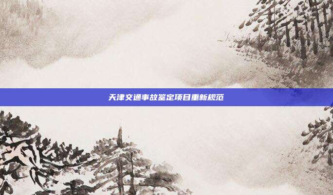 天津交通事故鉴定项目重新规范