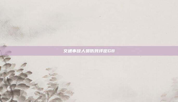 交通事故人员伤残评定GB