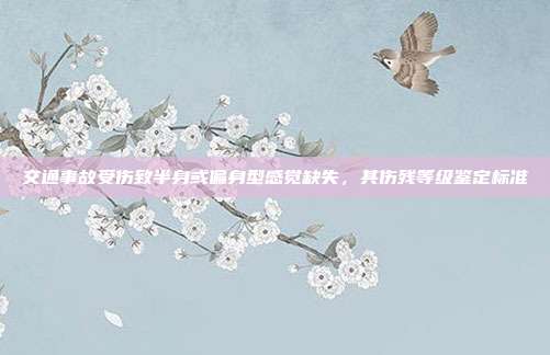 交通事故受伤致半身或偏身型感觉缺失，其伤残等级鉴定标准