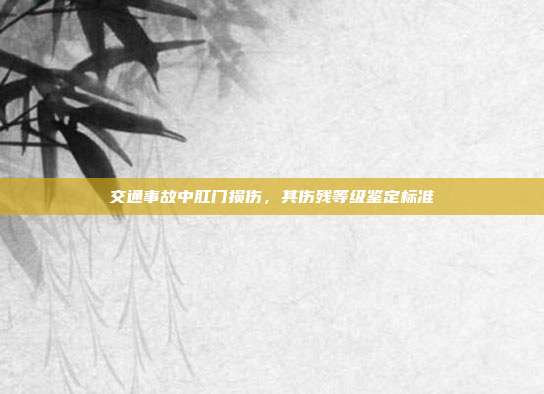 交通事故中肛门损伤，其伤残等级鉴定标准