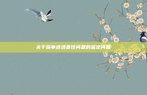 关于肇事逃逸责任问题的鉴定问题