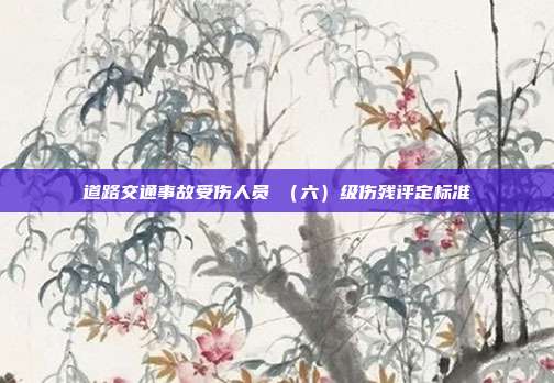 道路交通事故受伤人员Ⅵ(六)级伤残评定标准