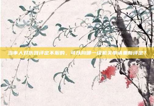 当事人对伤残评定不服的，可以向哪一级机关申请重新评定？