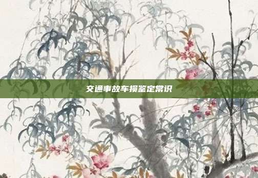 交通事故车损鉴定常识