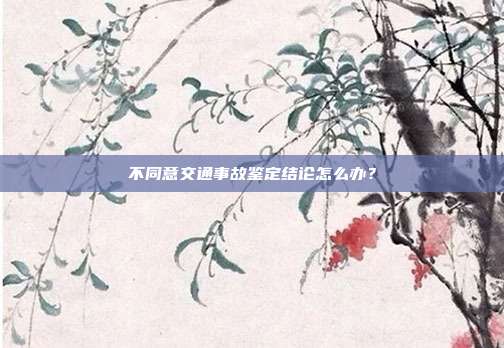 不同意交通事故鉴定结论怎么办？