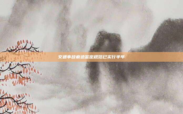 交通事故痕迹鉴定规范已实行半年