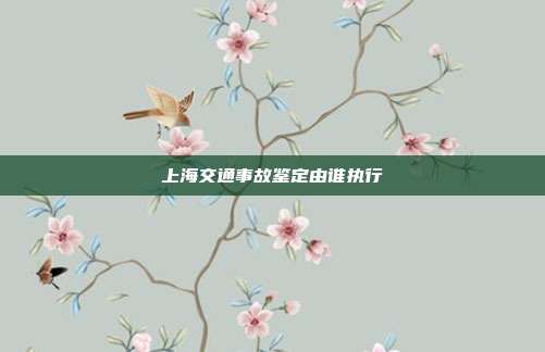 上海交通事故鉴定由谁执行