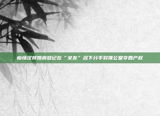 痴情汉将婚房登记在“女友”名下分手对簿公堂夺回产权