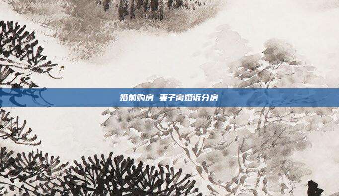 婚前购房 妻子离婚诉分房