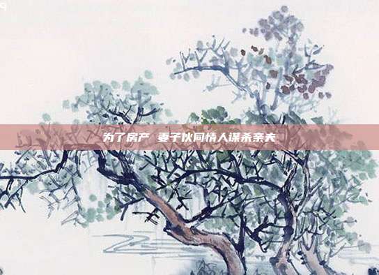 为了房产 妻子伙同情人谋杀亲夫