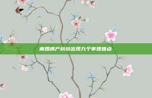 离婚房产纠纷出现九个审理难点