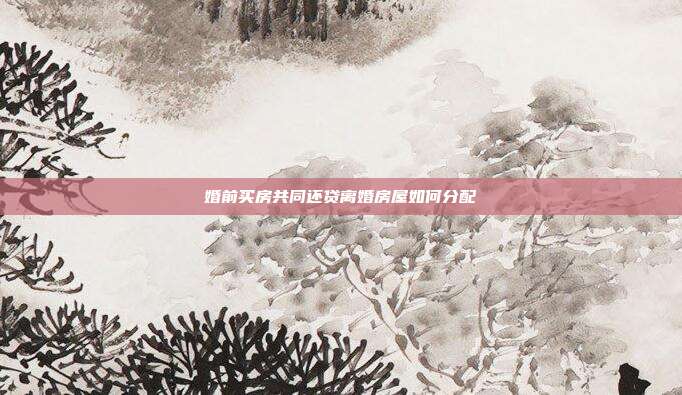 婚前买房共同还贷离婚房屋如何分配