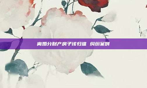 离婚分财产房子该归谁 纠纷案例