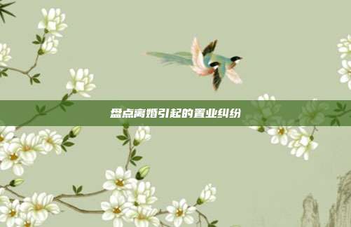 盘点离婚引起的置业纠纷