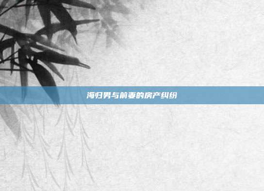 海归男与前妻的房产纠纷