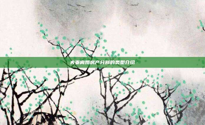夫妻离婚房产分割的类型介绍